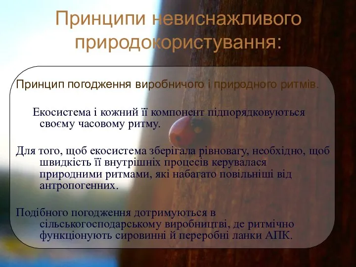 Принципи невиснажливого природокористування: Принцип погодження виробничого і природного ритмів. Екосистема і