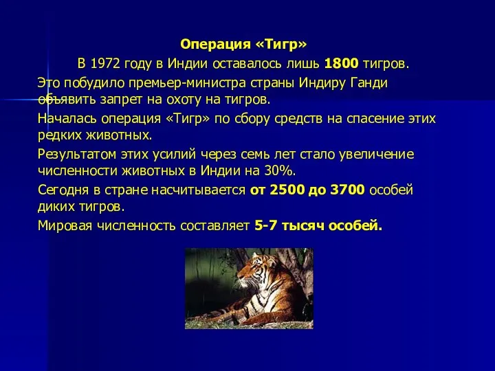 Операция «Тигр» В 1972 году в Индии оставалось лишь 1800 тигров.