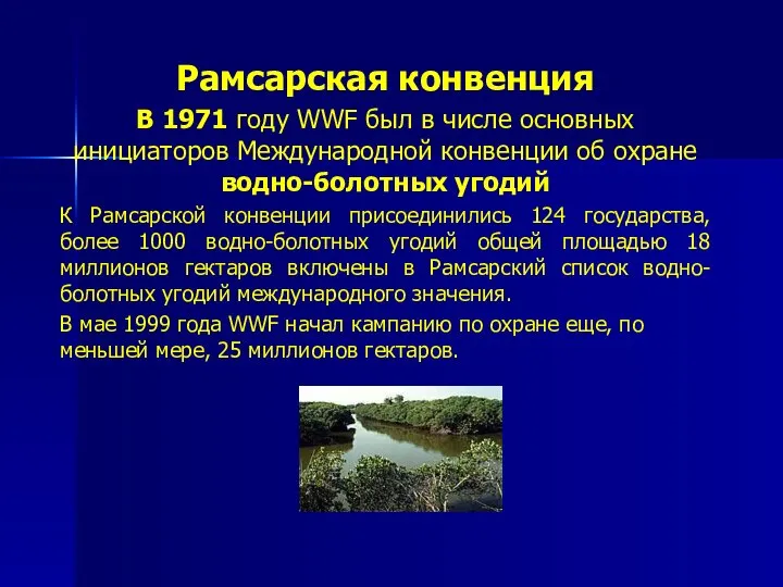 Рамсарская конвенция В 1971 году WWF был в числе основных инициаторов