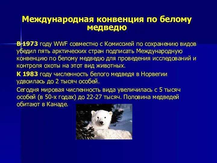 Международная конвенция по белому медведю В 1973 году WWF совместно с