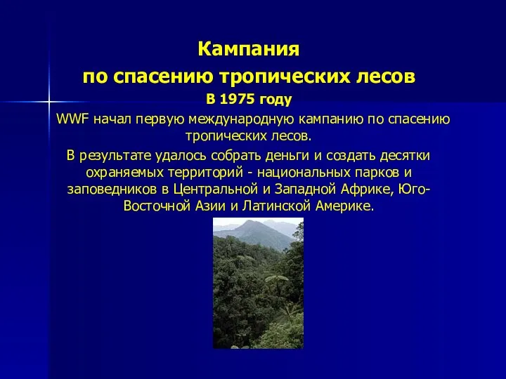 Кампания по спасению тропических лесов В 1975 году WWF начал первую