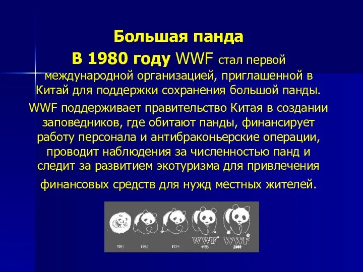 Большая панда В 1980 году WWF стал первой международной организацией, приглашенной