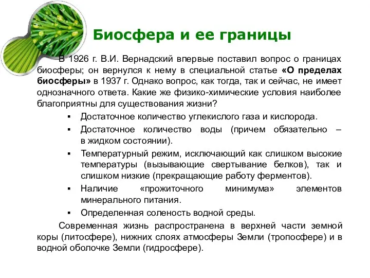 Биосфера и ее границы В 1926 г. В.И. Вернадский впервые поставил