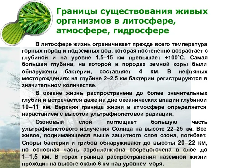 Границы существования живых организмов в литосфере, атмосфере, гидросфере В литосфере жизнь