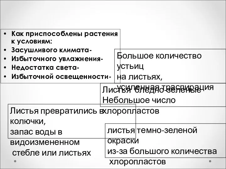 Как приспособлены растения к условиям: Засушливого климата- Избыточного увлажнения- Недостатка света-