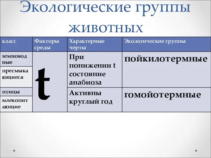 Экологические группы животных