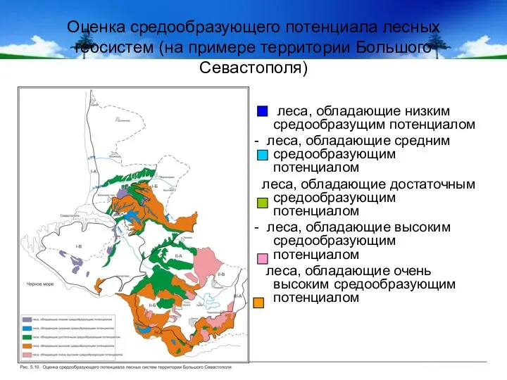 Оценка средообразующего потенциала лесных геосистем (на примере территории Большого Севастополя) леса,