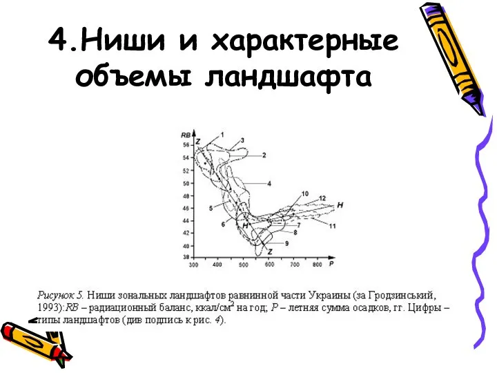 4.Ниши и характерные объемы ландшафта