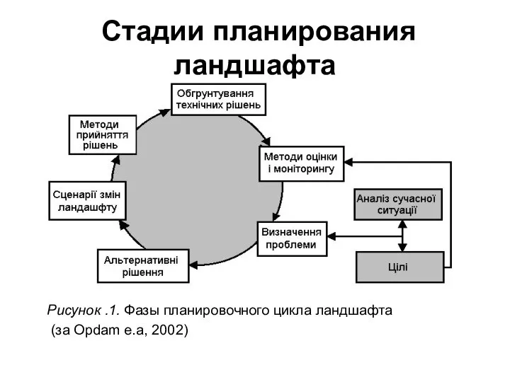 Стадии планирования ландшафта Рисунок .1. Фазы планировочного цикла ландшафта (за Opdam e.a, 2002)