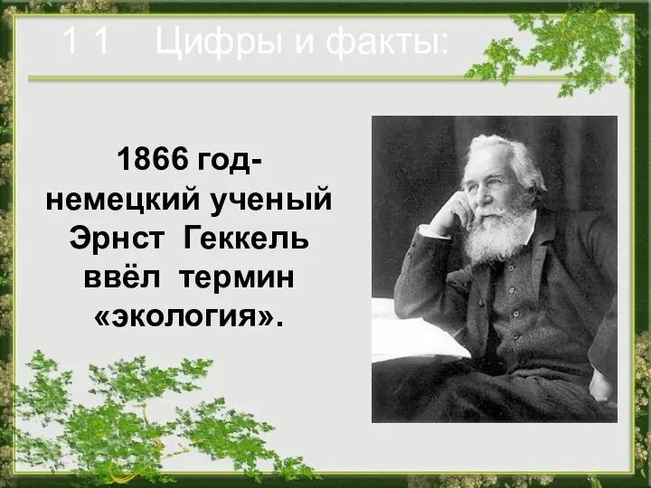 1 1 Цифры и факты: 1866 год- немецкий ученый Эрнст Геккель ввёл термин «экология».