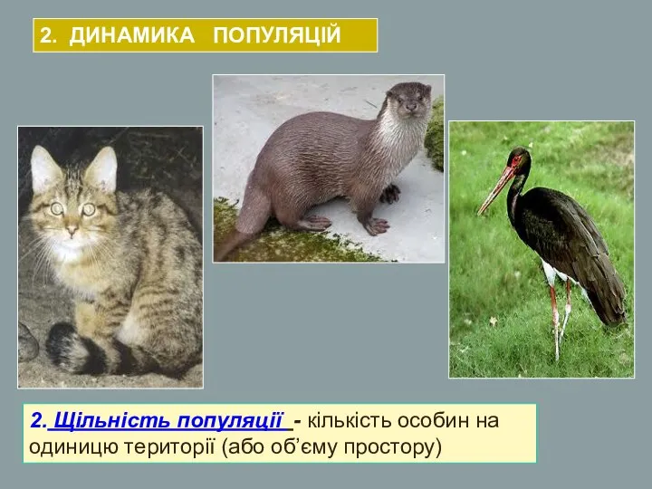 2. Щільність популяції - кількість особин на одиницю території (або об’єму простору) 2. ДИНАМИКА ПОПУЛЯЦІЙ