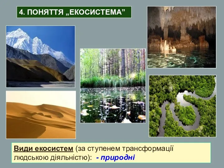 Види екосистем (за ступенем трансформації людською діяльністю): - природні 4. ПОНЯТТЯ „ЕКОСИСТЕМА”