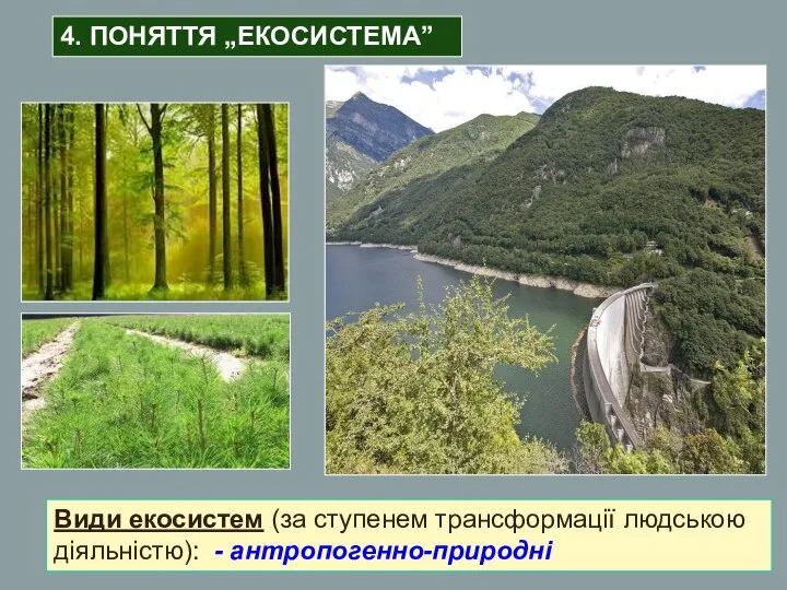 Види екосистем (за ступенем трансформації людською діяльністю): - антропогенно-природні 4. ПОНЯТТЯ „ЕКОСИСТЕМА”