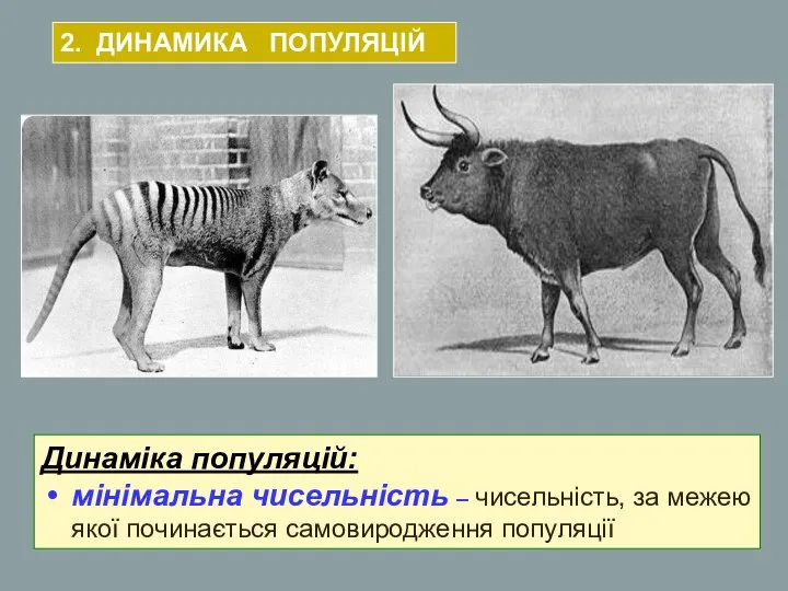 Динаміка популяцій: мінімальна чисельність – чисельність, за межею якої починається самовиродження популяції 2. ДИНАМИКА ПОПУЛЯЦІЙ