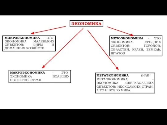 МИКРОЭКОНОМИКА - ЭТО ЭКОНОМИКА МАЛЕНЬКИХ ОБЪЕКТОВ: ФИРМ И ДОМАШНИХ ХОЗЯЙСТВ. ЭКОНОМИКА