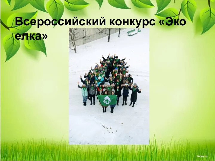 Всероссийский конкурс «Эко елка»