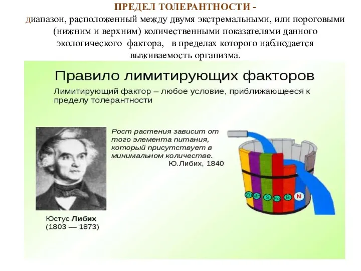 ПРЕДЕЛ ТОЛЕРАНТНОСТИ - диапазон, расположенный между двумя экстремальными, или пороговыми (нижним