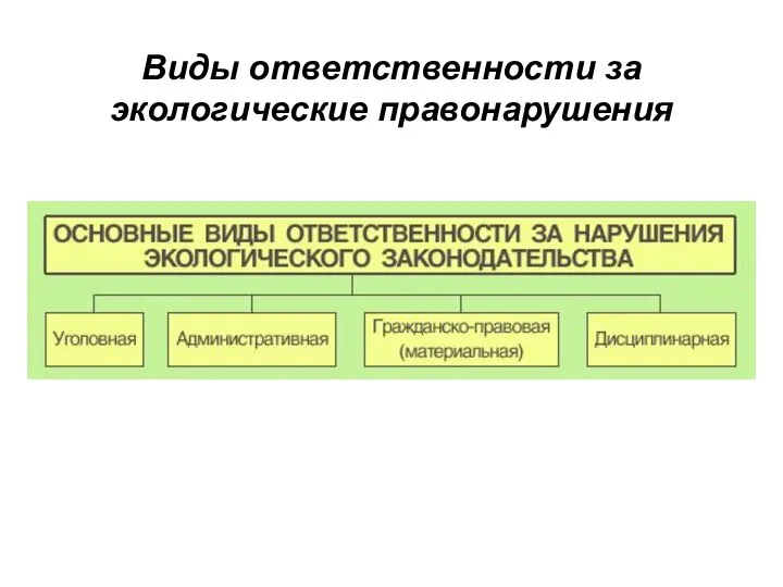 Виды ответственности за экологические правонарушения