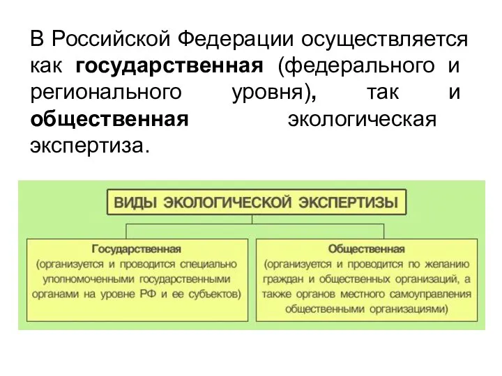 В Российской Федерации осуществляется как государ­ственная (федерального и регионального уровня), так и общественная экологическая экспертиза.