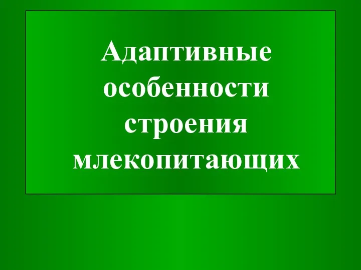 Адаптивные особенности строения млекопитающих