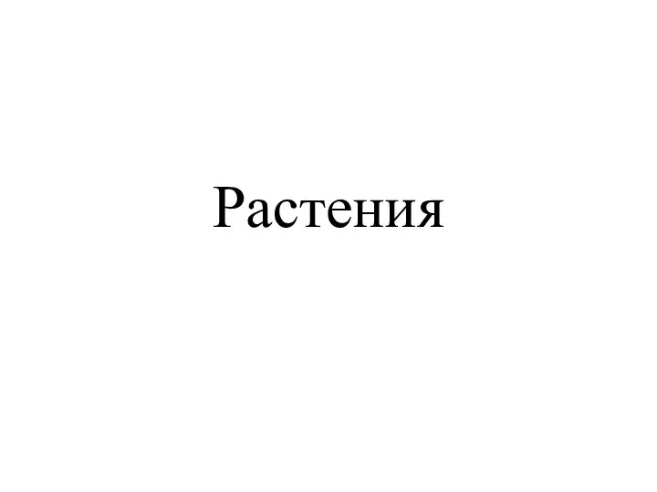 Растения