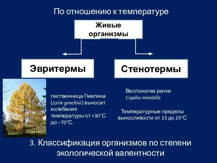 3. Классификация организмов по степени экологической валентности По отношению к температуре