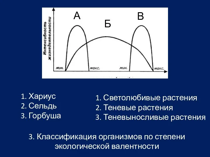 1. Хариус 2. Сельдь 3. Горбуша А Б В 3. Классификация