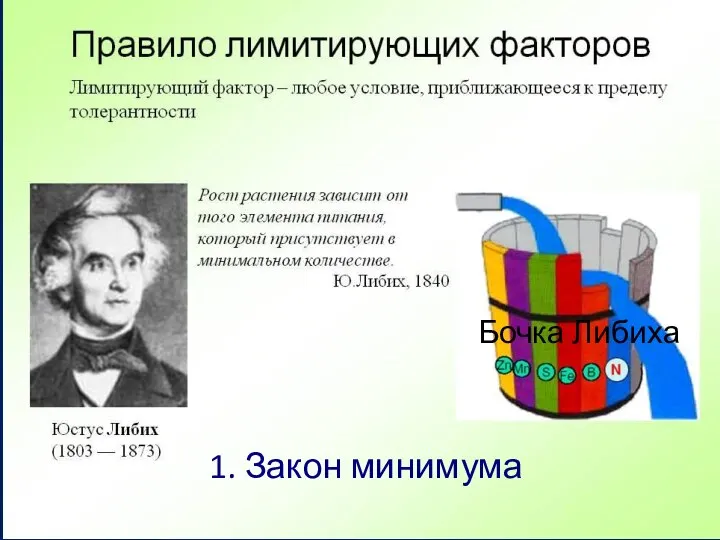 Закон Минимума Бочка Либиха 1. Закон минимума Бочка Либиха