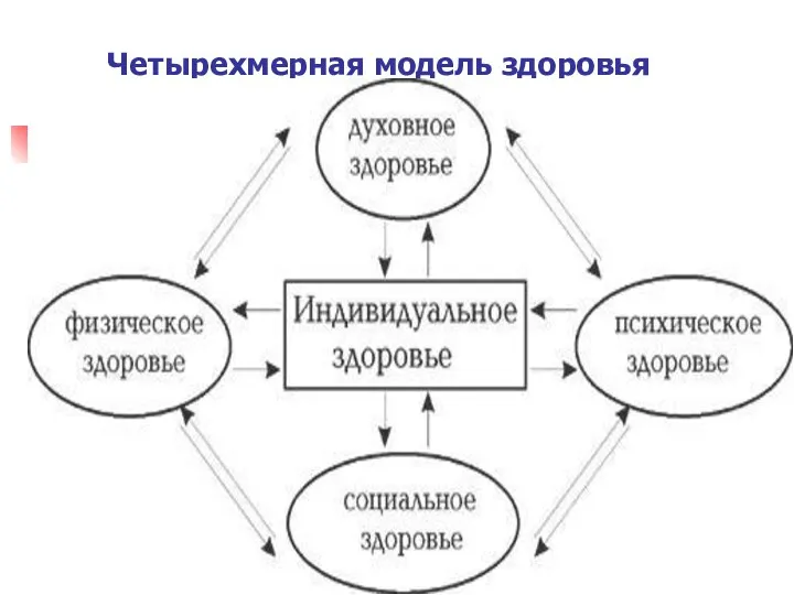 Четырехмерная модель здоровья