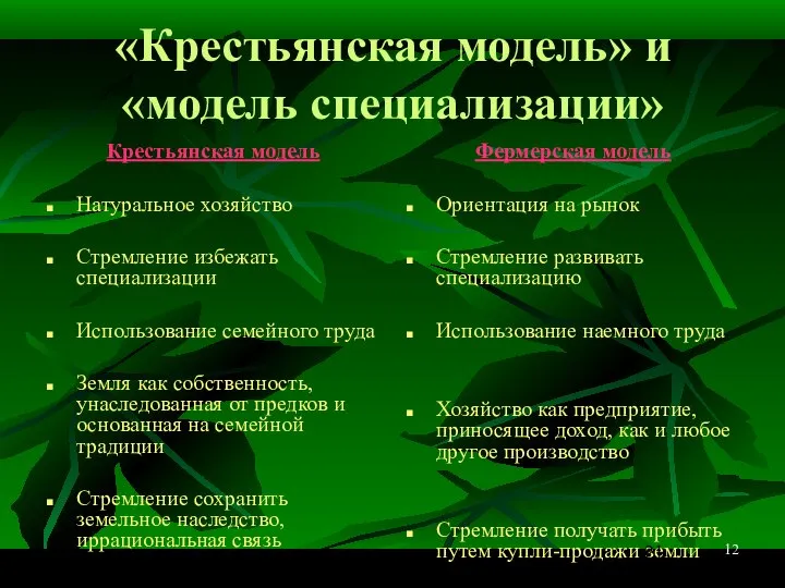 12 «Крестьянская модель» и «модель специализации» Крестьянская модель Натуральное хозяйство Стремление