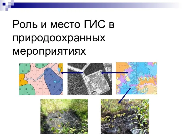 Роль и место ГИС в природоохранных мероприятиях