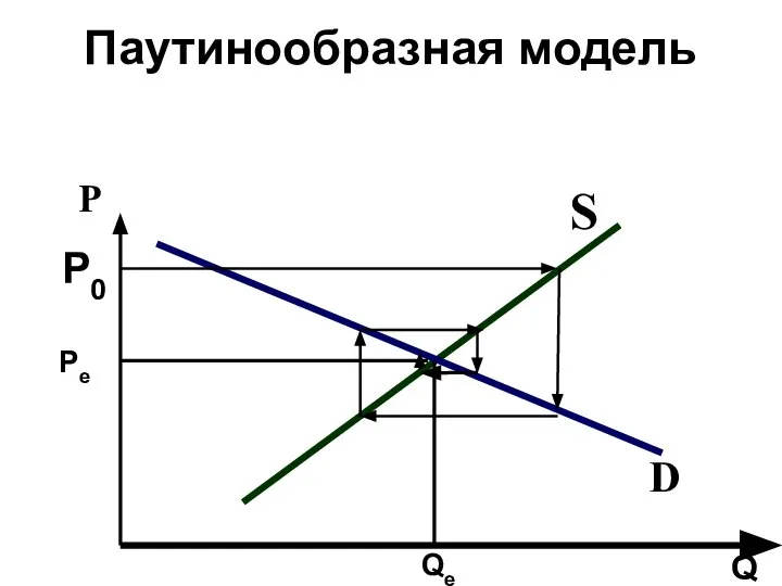 Паутинообразная модель Р D S Q Р0 Qе Ре