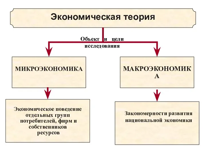 МИКРОЭКОНОМИКА МАКРОЭКОНОМИКА Экономическая теория Закономерности развития национальной экономики Объект и цели исследования