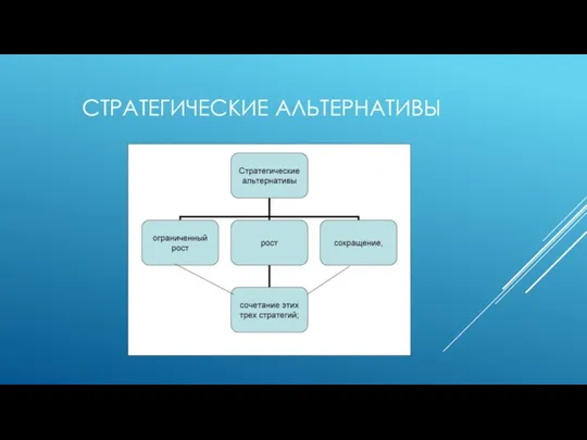 СТРАТЕГИЧЕСКИЕ АЛЬТЕРНАТИВЫ