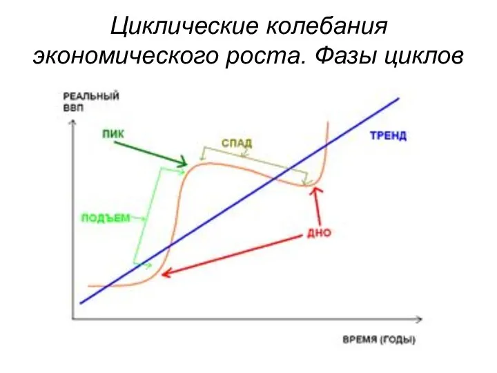 Циклические колебания экономического роста. Фазы циклов