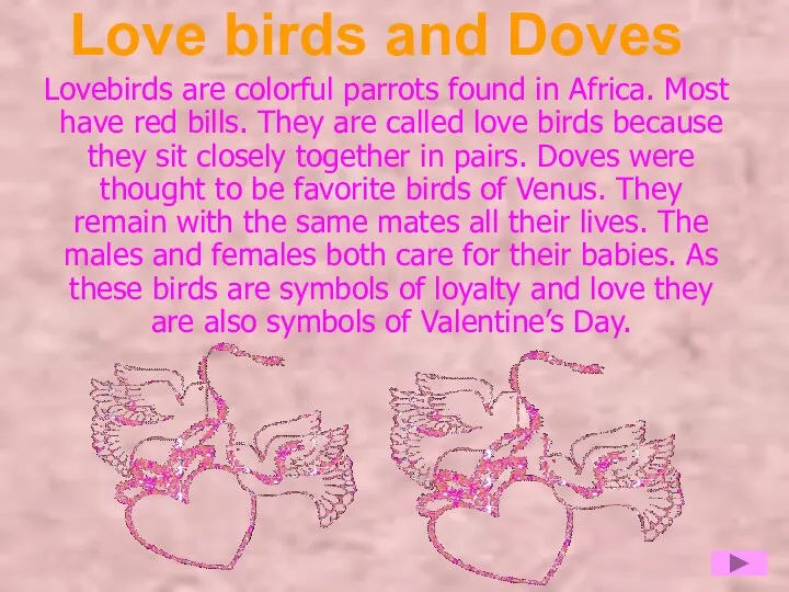 Love birds and Doves Lovebirds are colorful parrots found in Africa.