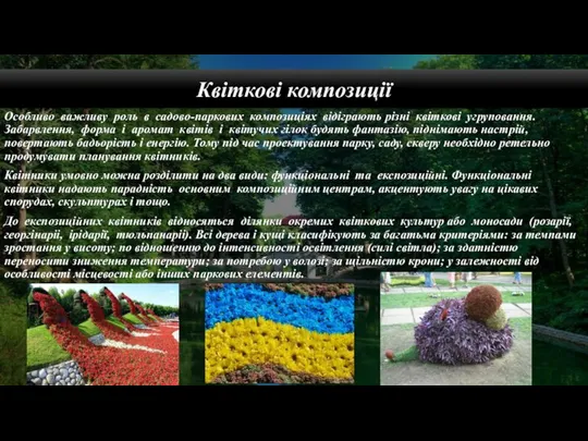 Квіткові композиції Особливо важливу роль в садово-паркових композиціях відіграють різні квіткові