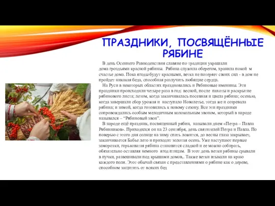 В день Осеннего Равноденствия славяне по традиции украшали дома гроздьями красной