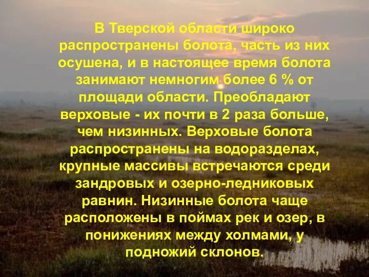 В Тверской области широко распространены болота, часть из них осушена, и