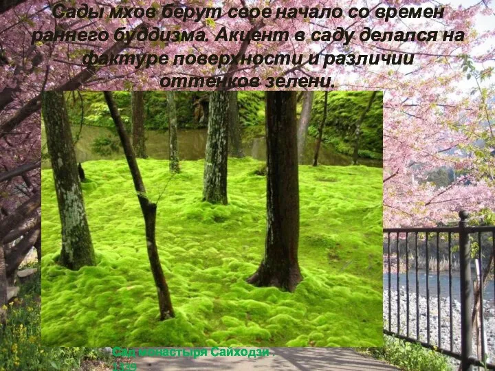 Сады мхов берут свое начало со времен раннего буддизма. Акцент в