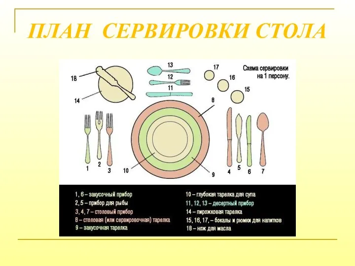 ПЛАН СЕРВИРОВКИ СТОЛА