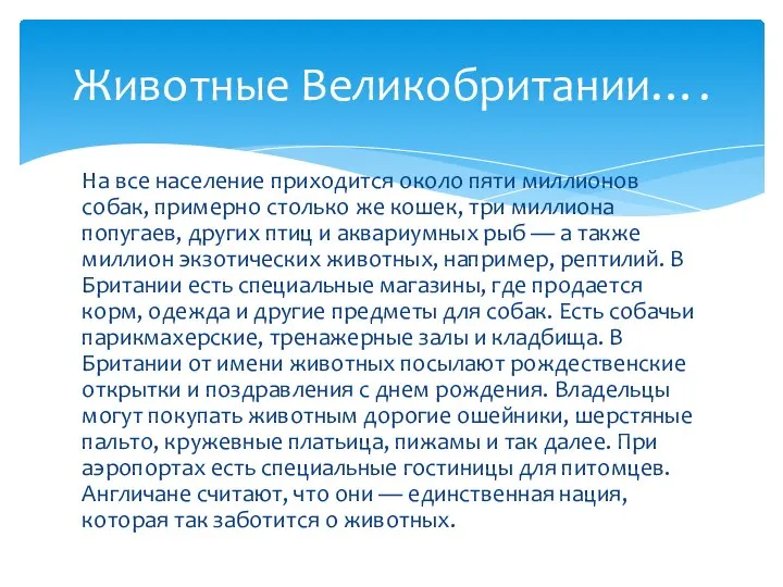 На все население приходится около пяти миллионов собак, примерно столько же