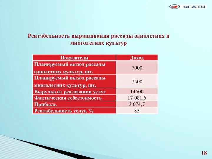 Рентабельность выращивания рассады однолетних и многолетних культур