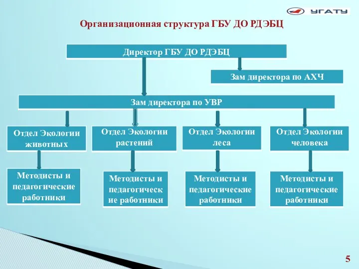 Организационная структура ГБУ ДО РДЭБЦ