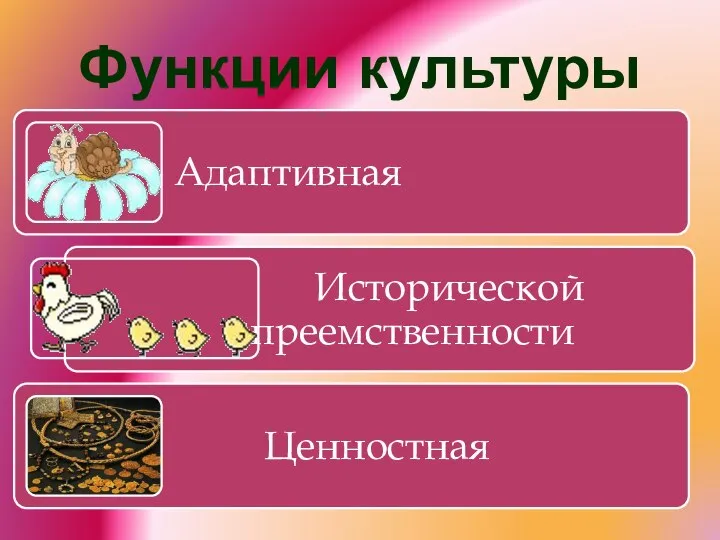 Функции культуры