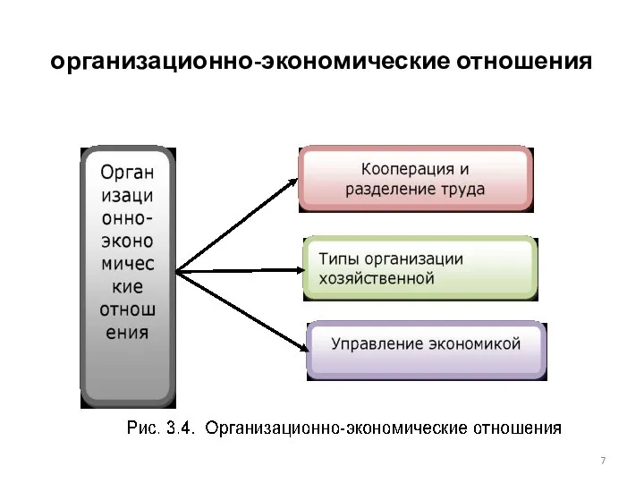 организационно-экономические отношения