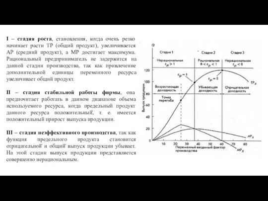 I – стадия роста, становления, когда очень резко начинает расти TP