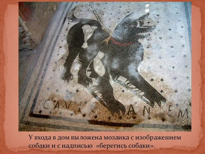 У входа в дом выложена мозаика с изображением собаки и с надписью «берегись собаки».