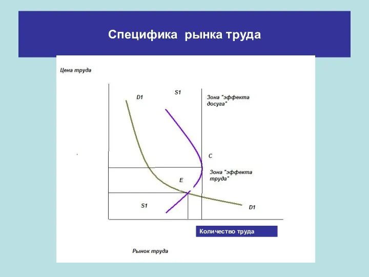 Специфика рынка труда Количество труда