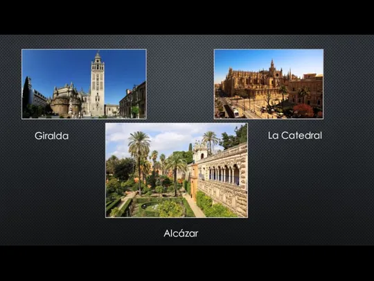 La Catedral Alcázar Giralda